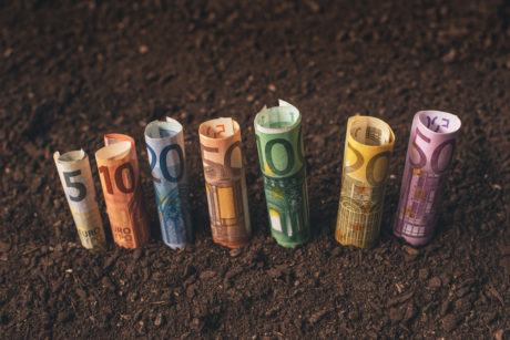 Cessione del quinto Compass: quali i tempi e modalità di erogazione?